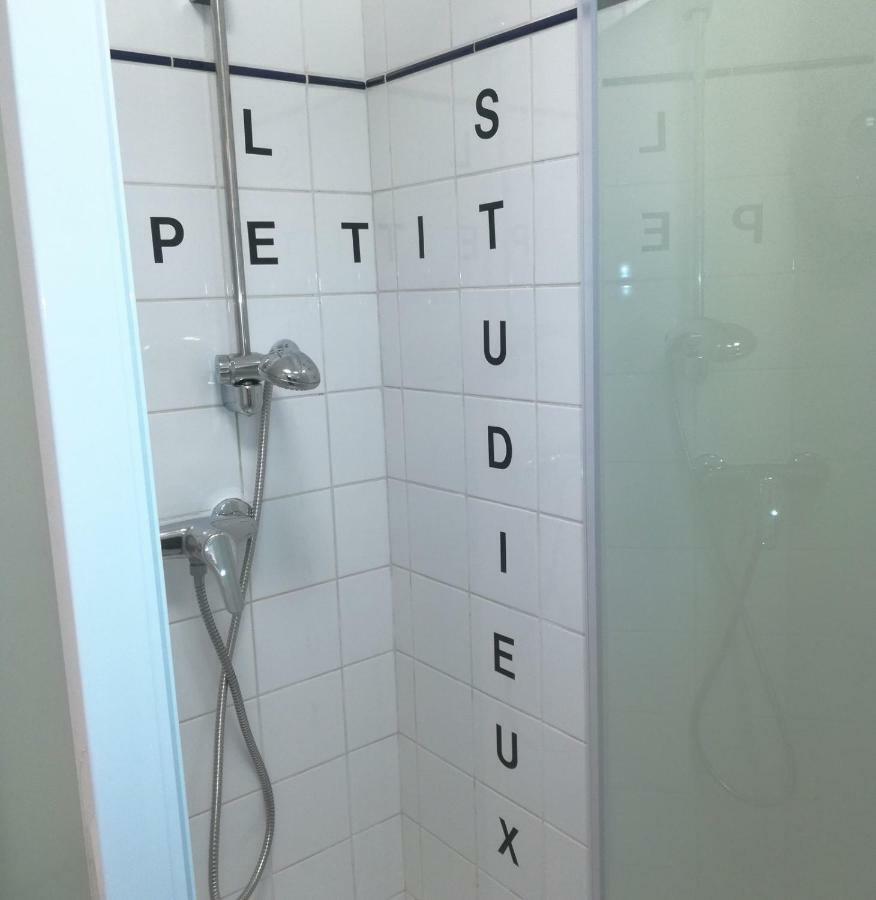 Le Petit Studieux - Parking - Animaux Acceptes - Centre Ville Accessible A Pied อัลบี ภายนอก รูปภาพ