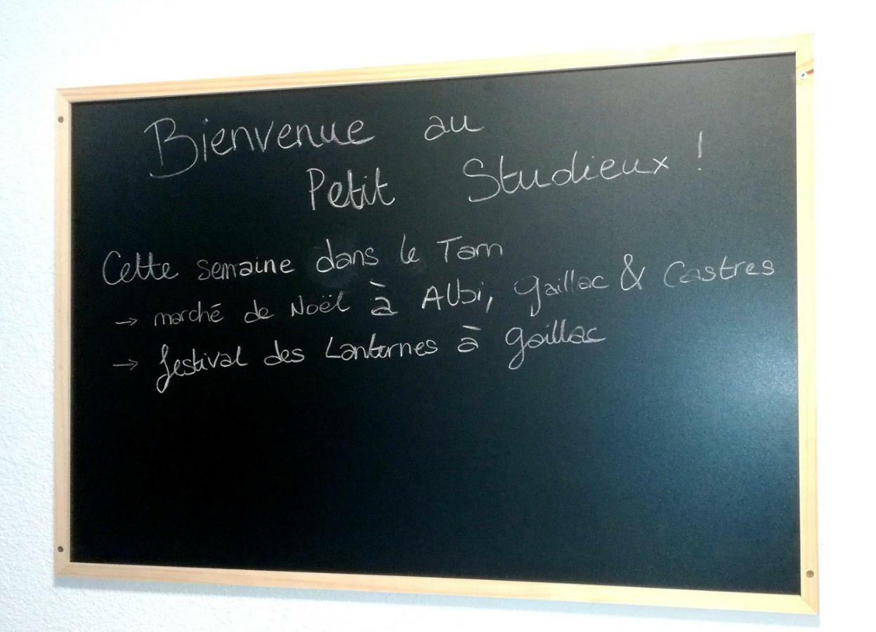Le Petit Studieux - Parking - Animaux Acceptes - Centre Ville Accessible A Pied อัลบี ภายนอก รูปภาพ