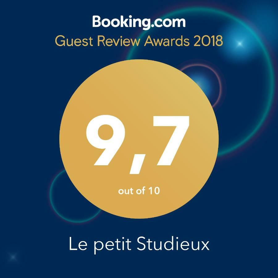 Le Petit Studieux - Parking - Animaux Acceptes - Centre Ville Accessible A Pied อัลบี ภายนอก รูปภาพ